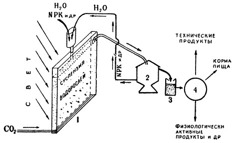 Схема установки по непрерывному производству биомассы хлореллы
